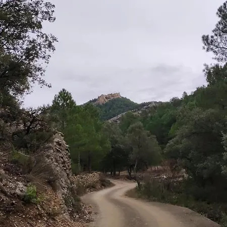 Meson La Lonja - Herbers *